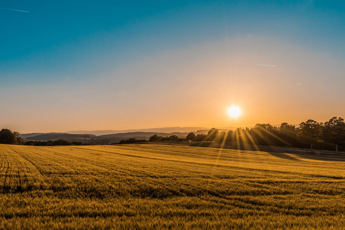Farm with open land